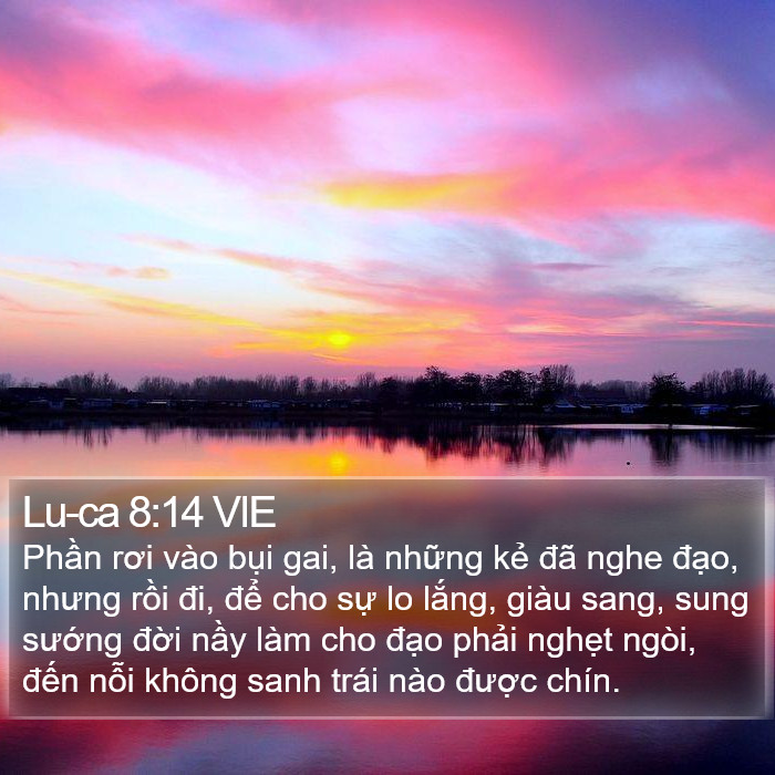 Lu-ca 8:14 VIE Bible Study