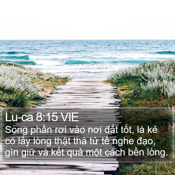 Lu-ca 8:15 VIE Bible Study