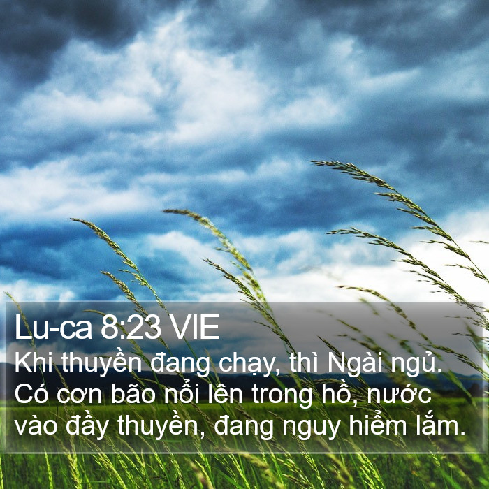 Lu-ca 8:23 VIE Bible Study