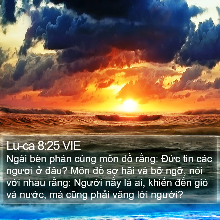 Lu-ca 8:25 VIE Bible Study