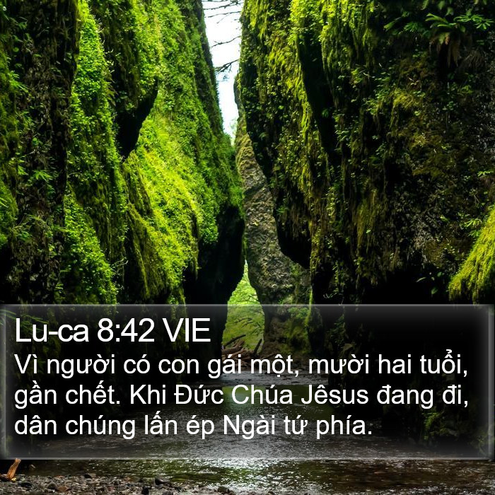 Lu-ca 8:42 VIE Bible Study