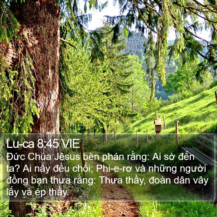 Lu-ca 8:45 VIE Bible Study