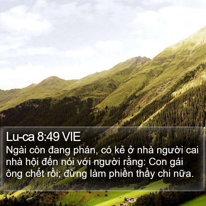 Lu-ca 8:49 VIE Bible Study