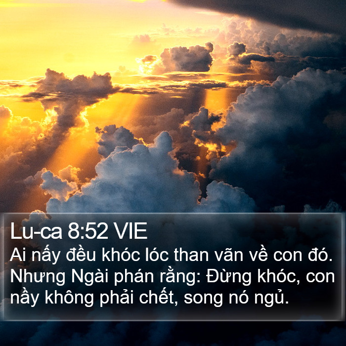 Lu-ca 8:52 VIE Bible Study