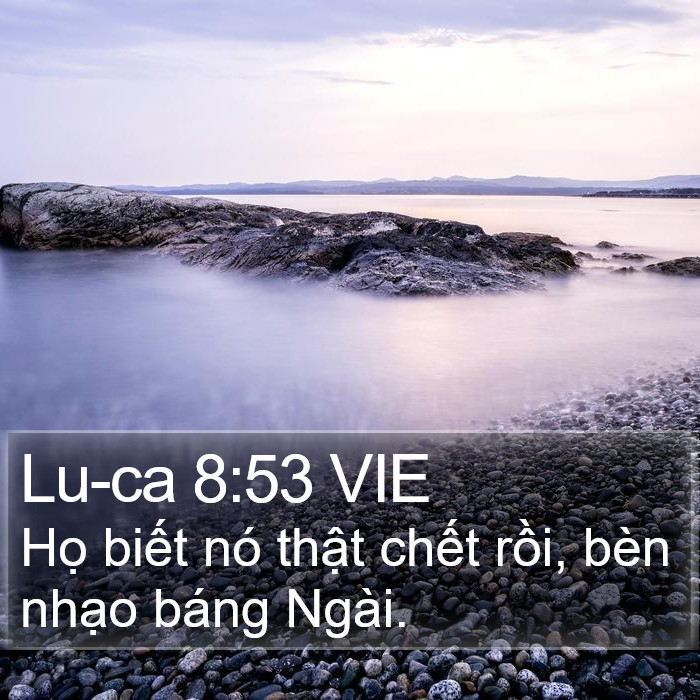 Lu-ca 8:53 VIE Bible Study