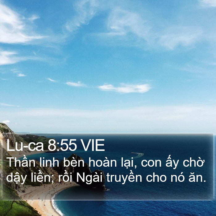 Lu-ca 8:55 VIE Bible Study