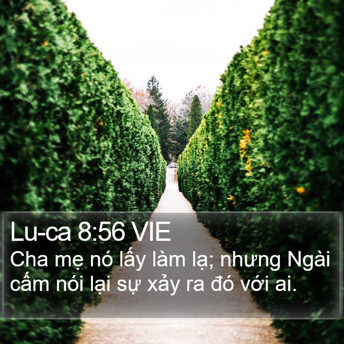 Lu-ca 8:56 VIE Bible Study