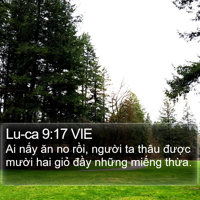 Lu-ca 9:17 VIE Bible Study