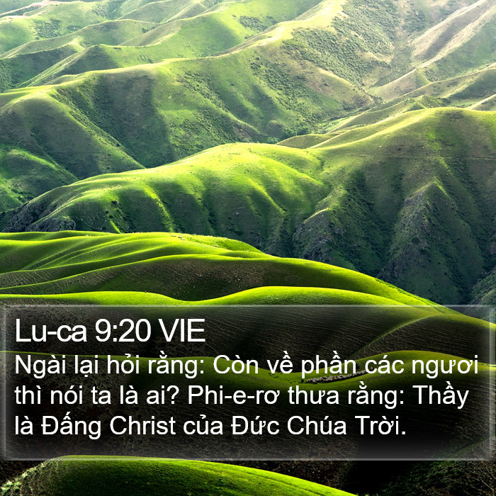 Lu-ca 9:20 VIE Bible Study