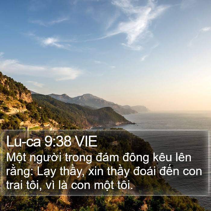 Lu-ca 9:38 VIE Bible Study