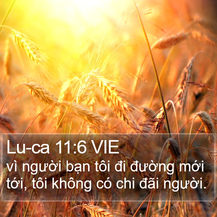 Lu-ca 11:6 VIE Bible Study
