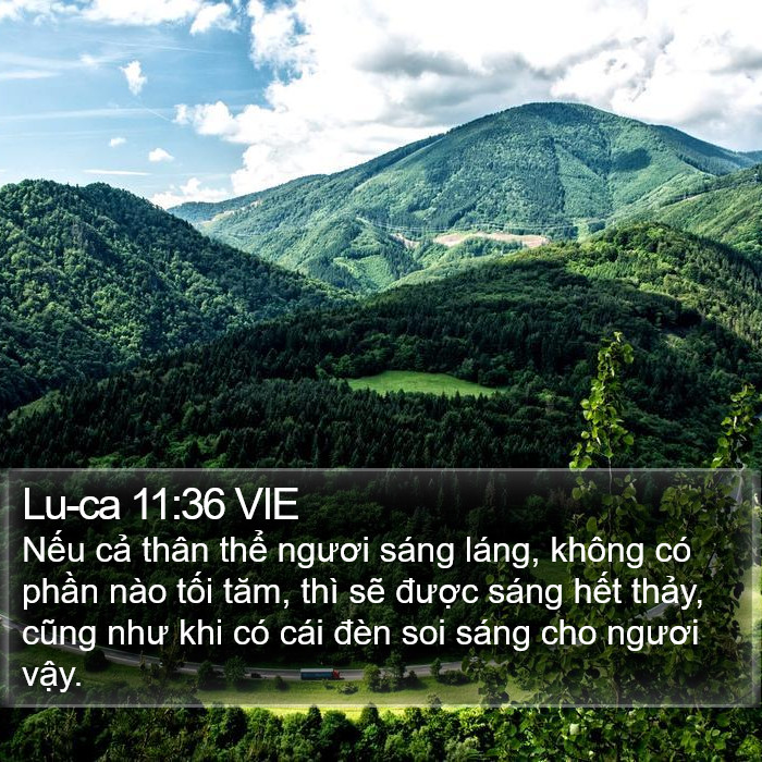Lu-ca 11:36 VIE Bible Study