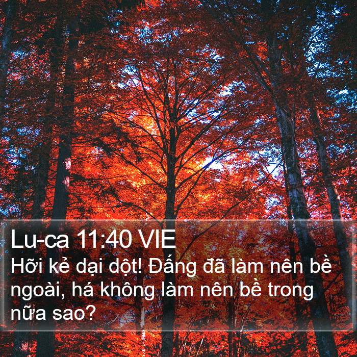 Lu-ca 11:40 VIE Bible Study
