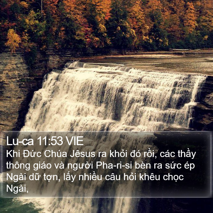 Lu-ca 11:53 VIE Bible Study