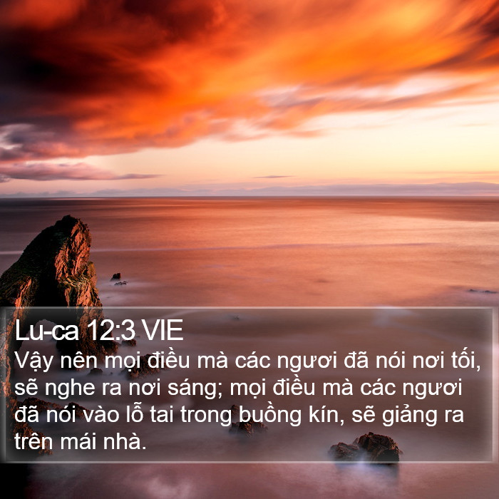 Lu-ca 12:3 VIE Bible Study