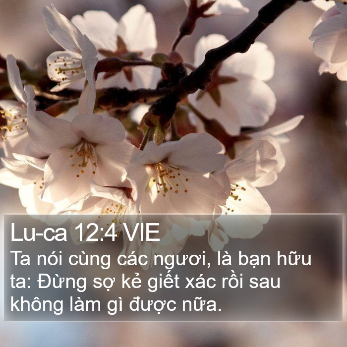 Lu-ca 12:4 VIE Bible Study