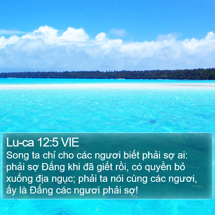 Lu-ca 12:5 VIE Bible Study