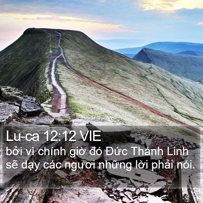 Lu-ca 12:12 VIE Bible Study