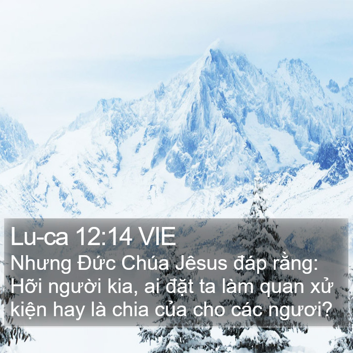 Lu-ca 12:14 VIE Bible Study