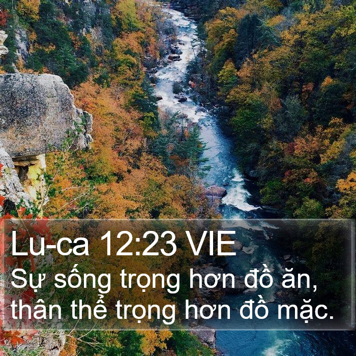 Lu-ca 12:23 VIE Bible Study