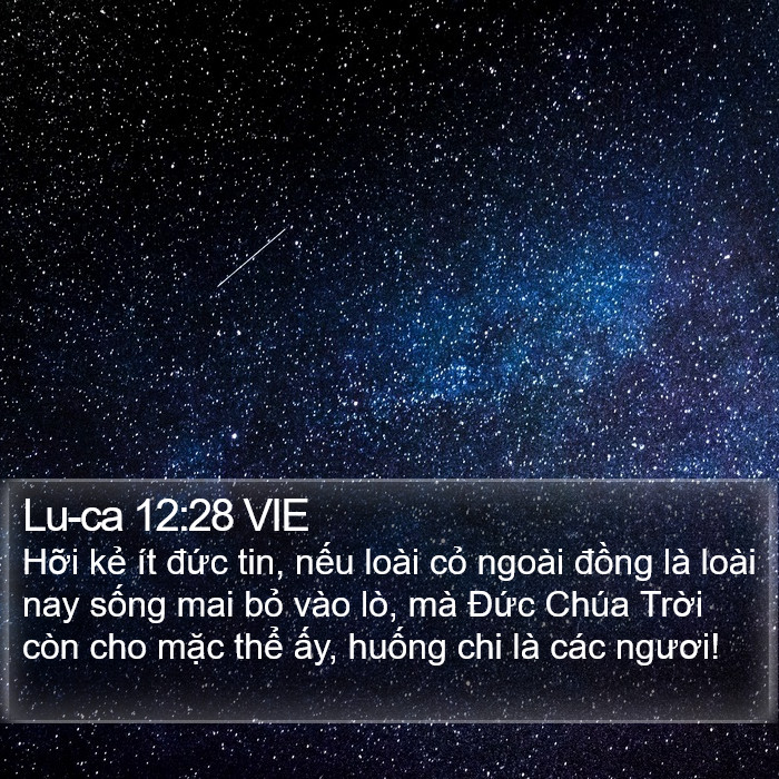 Lu-ca 12:28 VIE Bible Study