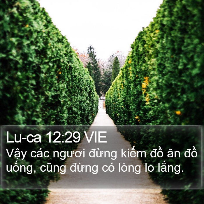 Lu-ca 12:29 VIE Bible Study