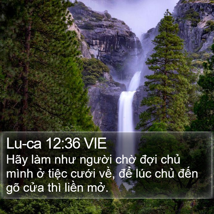 Lu-ca 12:36 VIE Bible Study