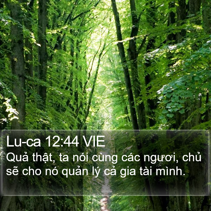 Lu-ca 12:44 VIE Bible Study