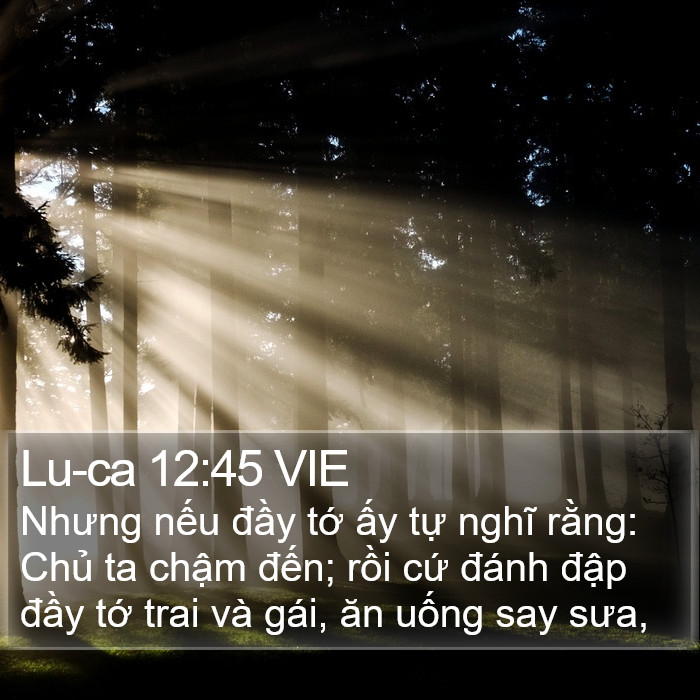 Lu-ca 12:45 VIE Bible Study