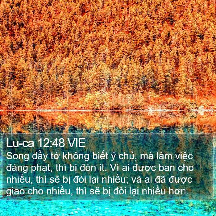 Lu-ca 12:48 VIE Bible Study