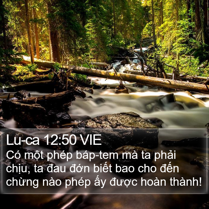 Lu-ca 12:50 VIE Bible Study