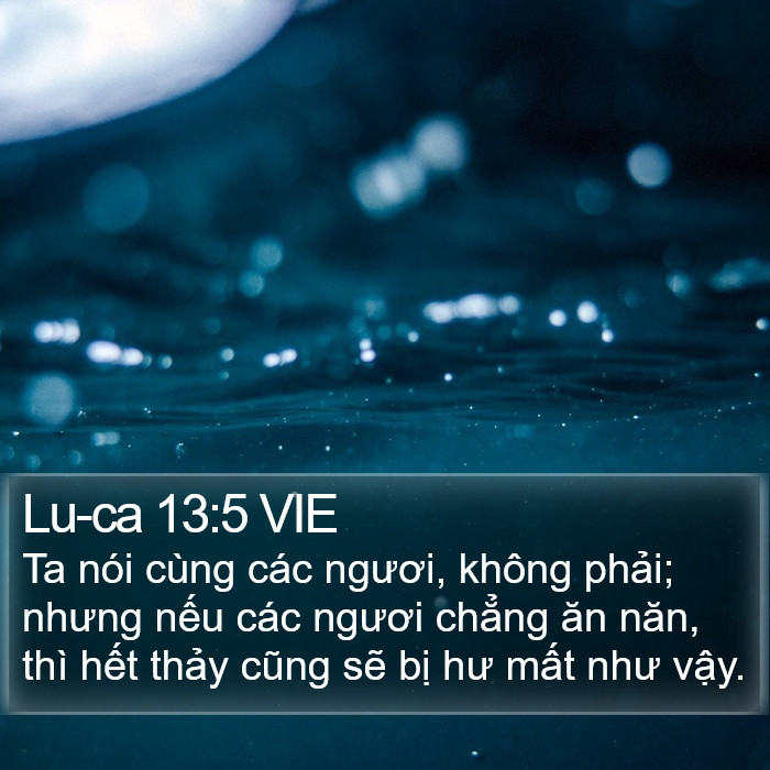 Lu-ca 13:5 VIE Bible Study