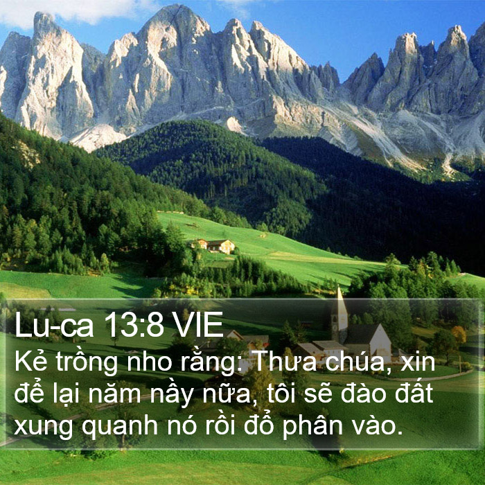 Lu-ca 13:8 VIE Bible Study