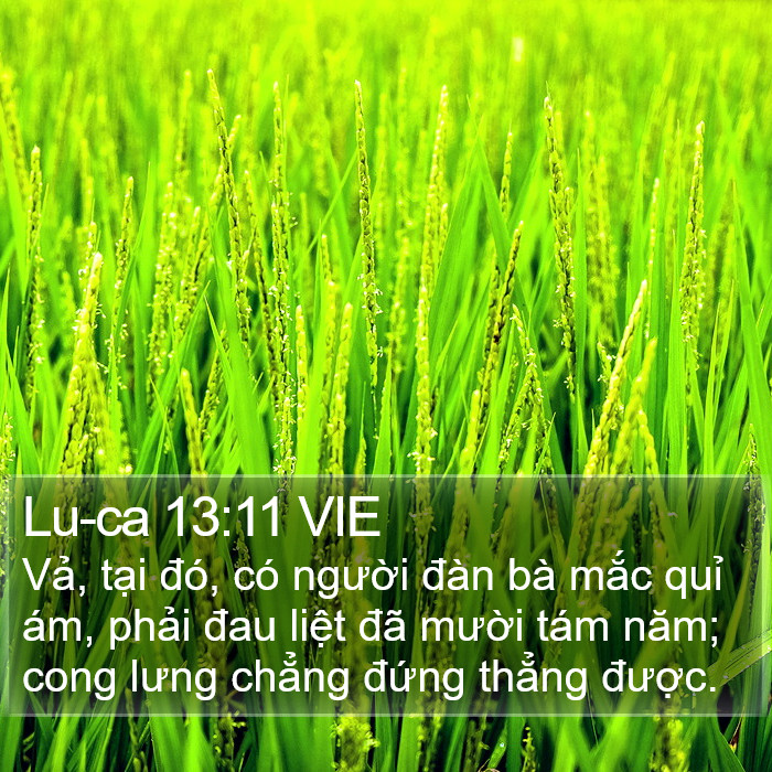 Lu-ca 13:11 VIE Bible Study
