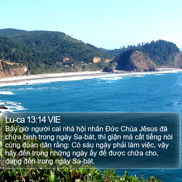 Lu-ca 13:14 VIE Bible Study