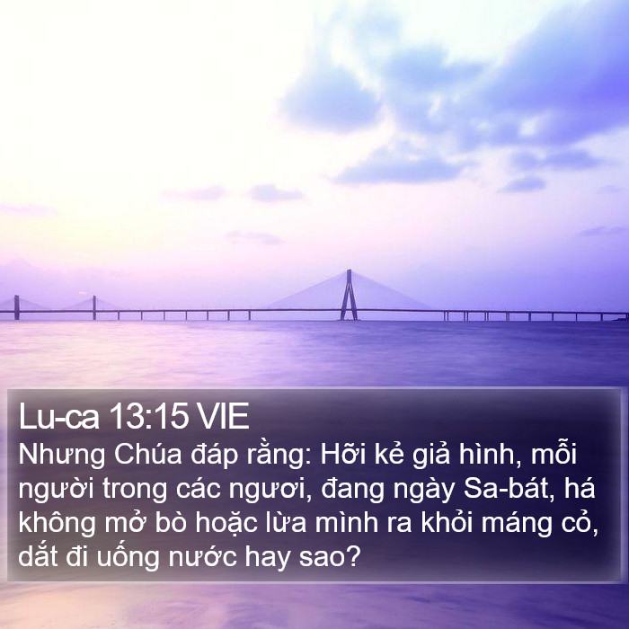 Lu-ca 13:15 VIE Bible Study