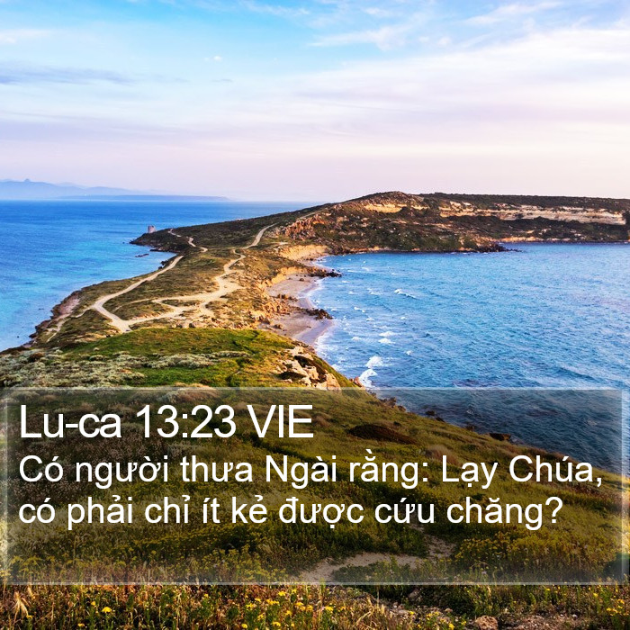 Lu-ca 13:23 VIE Bible Study
