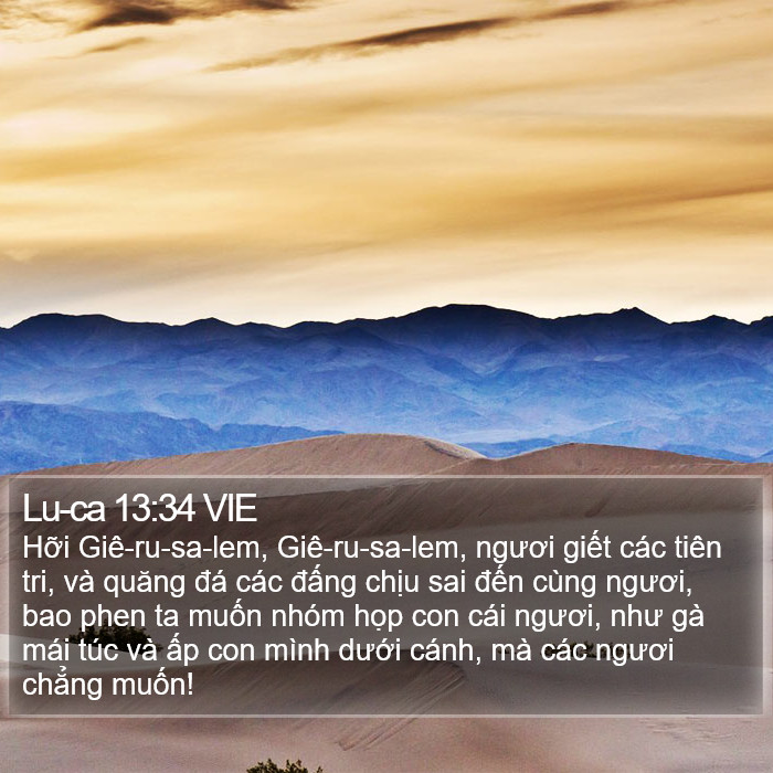 Lu-ca 13:34 VIE Bible Study