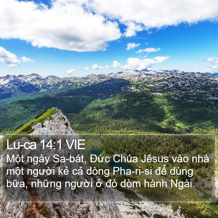 Lu-ca 14:1 VIE Bible Study