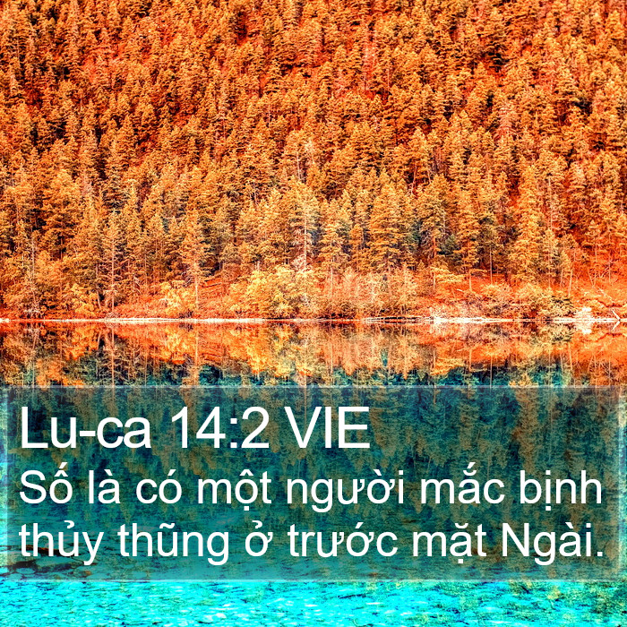 Lu-ca 14:2 VIE Bible Study