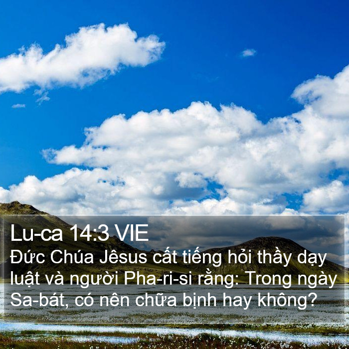 Lu-ca 14:3 VIE Bible Study