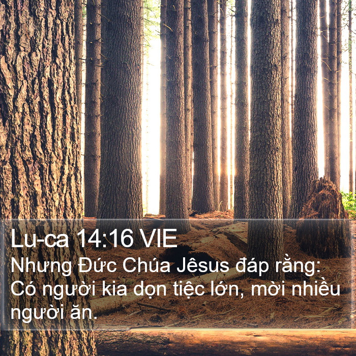 Lu-ca 14:16 VIE Bible Study