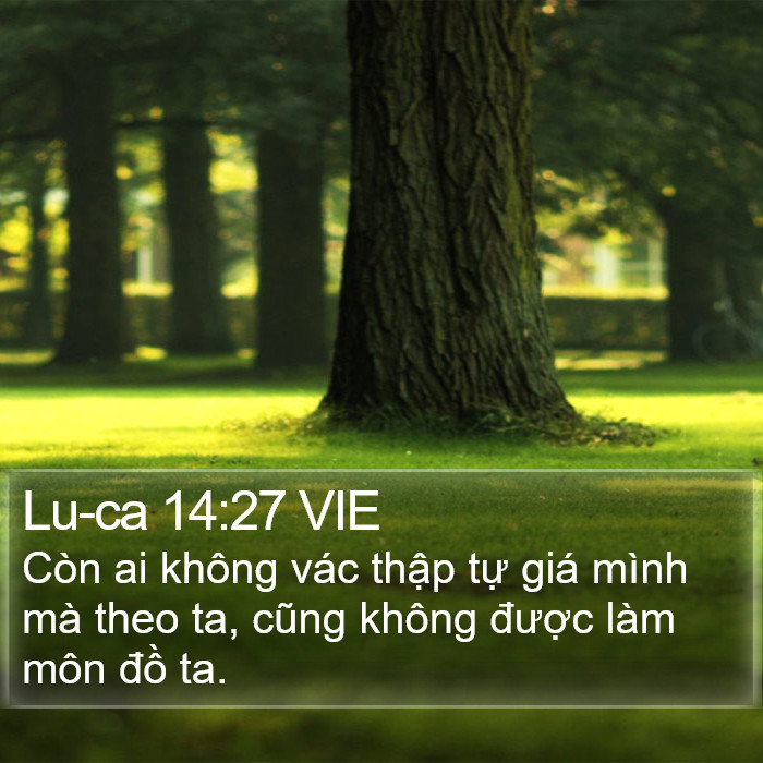 Lu-ca 14:27 VIE Bible Study