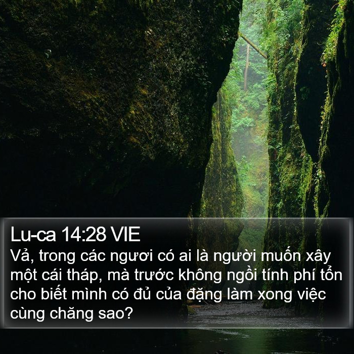 Lu-ca 14:28 VIE Bible Study