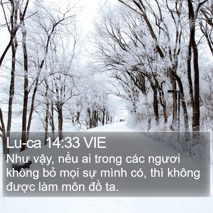 Lu-ca 14:33 VIE Bible Study