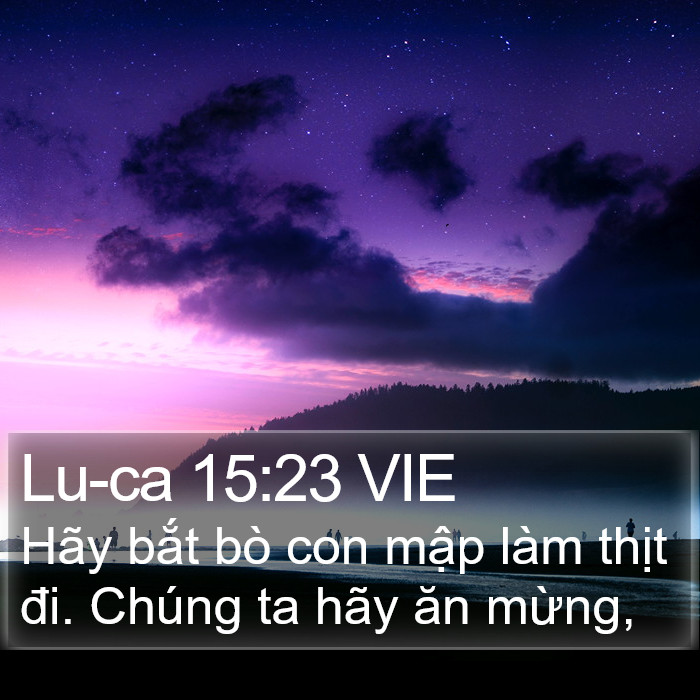 Lu-ca 15:23 VIE Bible Study