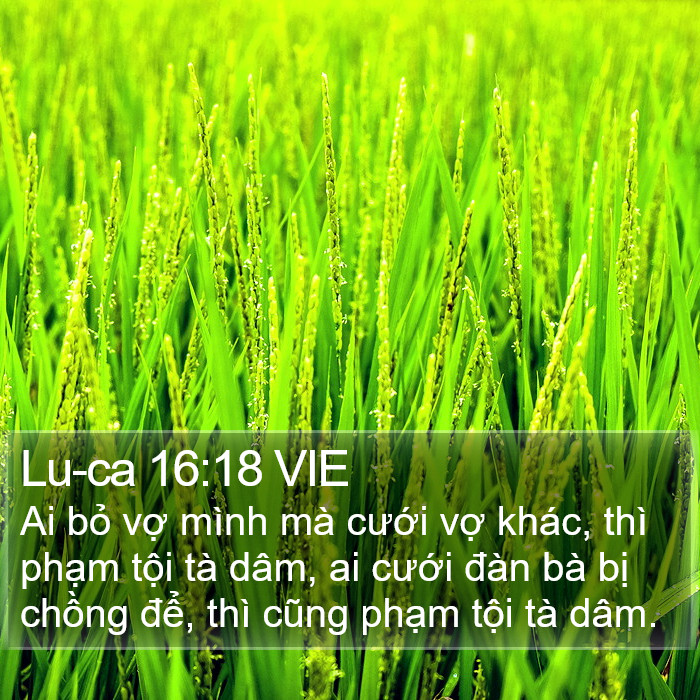Lu-ca 16:18 VIE Bible Study