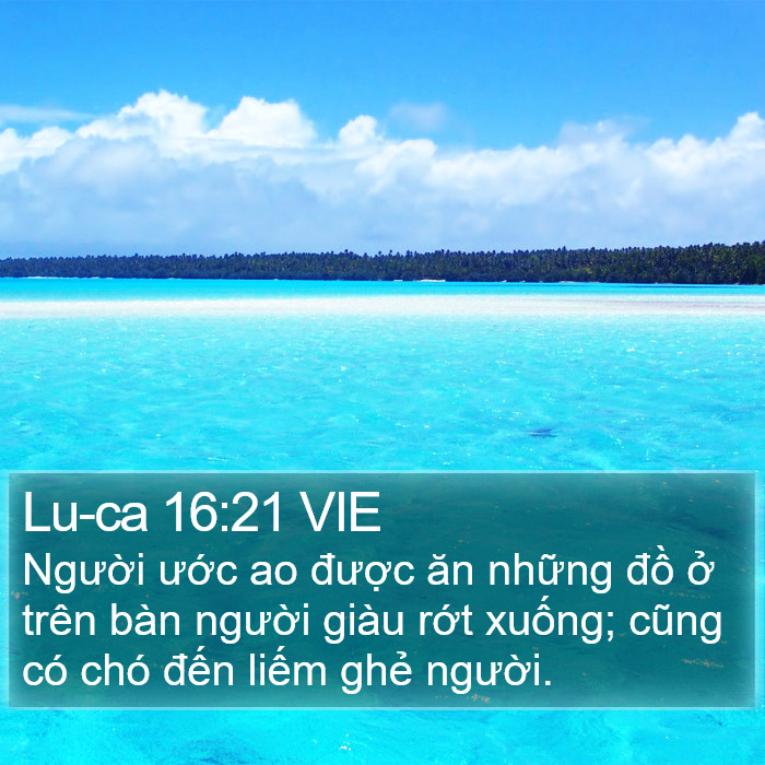 Lu-ca 16:21 VIE Bible Study