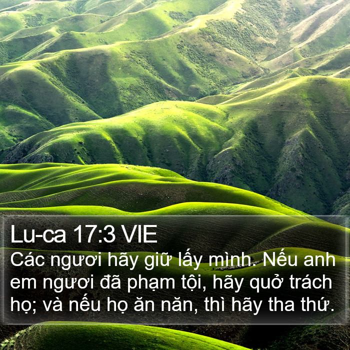 Lu-ca 17:3 VIE Bible Study