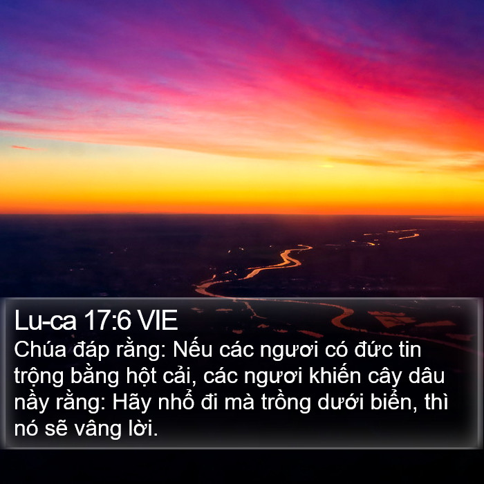 Lu-ca 17:6 VIE Bible Study